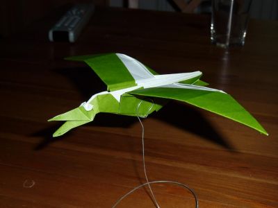 Pterodactylus de John Montroll
Mots-clés: Diplodocus de Ronald Koh
