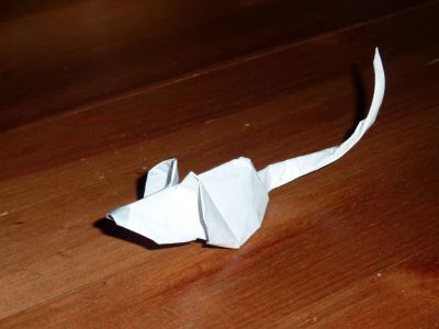La petite souris de Rikki Donachie
