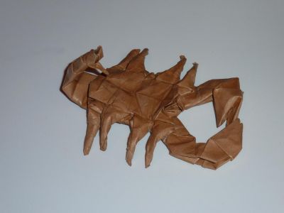 Scorpion de Robert J Lang (Origami insects and their kin)
Tant + MC (après pliage) 40 cm
