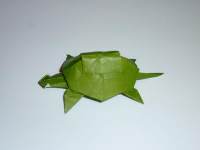 Tortue de John Montroll (Animal origami for the enthousiast)
Kami 15 cm
