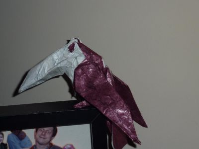 Toucan de Michael J LaFosse
Sandwich (papier de riz - alu -papier de riz) 40 cm
