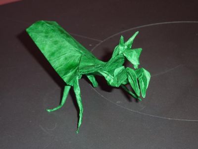 Praying Mantis Robert J. Lang (Origami insects and their kin)
Double soie + MC (30 cm)
