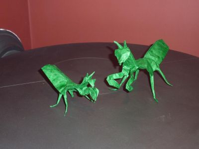 Praying Mantis Robert J. Lang (Origami insects and their kin)
Double soie + MC (30 cm et 40 cm)
