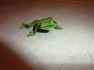 Grenouille de John Montroll (Animal origami for the enthusiast)
Tant + MC (15 cm)
