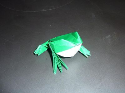 Grenouille de Jun Maekawa (Genuine origami)
Kami 15 cm
