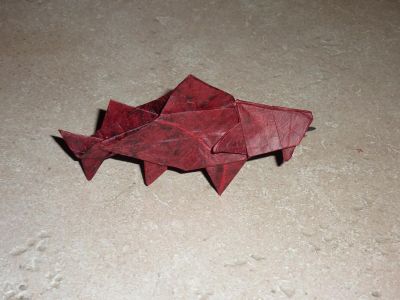 Goatfish de Robert J. Lang (Origami design secret)
Double soie (rouge+noir) 30 cm

