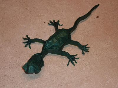 Gecko de Pasquale d'Auria
Double soie 46 cm
