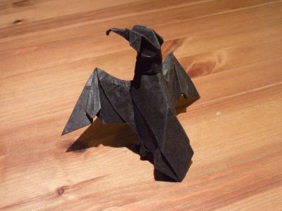 Cormoran de Michael LaFosse
Sandwich Unryu 30 cm
