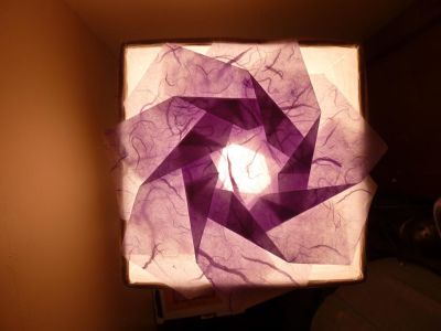 Heptagonal Flower Twist de Andrew Hudson 
Papier de riz + MC (30 cm)
