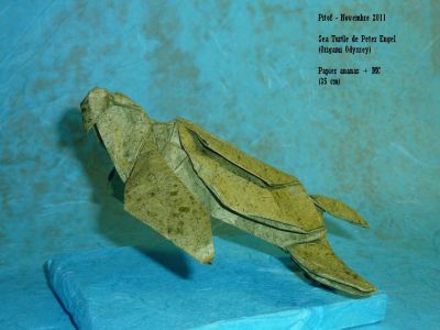 Sea Turtle de Peter Engel
