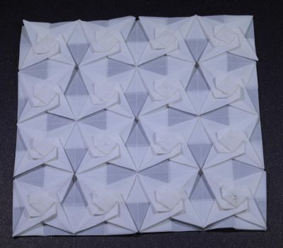 Task_11-Twisted_Bird_Base_Tessellation-C.jpg