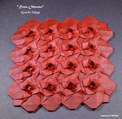 "Rosa Odorata" de Ryoichi Takagi
