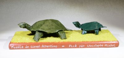 Mots-clés: Tortue