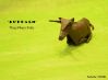 Nom du fichier=Buffalo_-_Huy_Pham_Dieu.jpg
Taille du fichier=103Ko
Dimensions : 1013x748
Ajouté le : 01 Mars 2014 Buffalo_-_Huy_Pham_Dieu.jpg