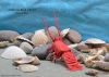 Nom du fichier=California_Rock_Lobster.jpg
Taille du fichier=288Ko
Dimensions : 1500x1075
Ajouté le : 23 Mars 2013 California_Rock_Lobster.jpg