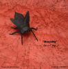 Nom du fichier=Horsefly_-_Robert_Lang.jpg
Taille du fichier=213Ko
Dimensions : 906x909
Ajouté le : 28 Février 2014 Horsefly_-_Robert_Lang.jpg