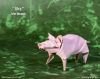 Nom du fichier=Pig_-_Artur_Biernacki.jpg
Taille du fichier=111Ko
Dimensions : 852x677
Ajouté le : 12 Juillet 2014 Pig_-_Artur_Biernacki.jpg