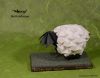 Nom du fichier=Sheep_-_Beth_Johnson.jpg
Taille du fichier=217Ko
Dimensions : 1220x963
Ajouté le : 01 Octobre 2015 Sheep_-_Beth_Johnson.jpg