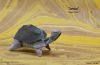 Nom du fichier=Tortoise.jpg
Taille du fichier=202Ko
Dimensions : 1500x982
Ajouté le : 24 Mars 2013 Tortoise.jpg