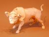 Nom du fichier=bull.jpg
Taille du fichier=191Ko
Dimensions : 620x465
Ajouté le : 19 Mai 2016 bull.jpg