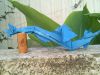 Nom du fichier=leviathan.jpg
Taille du fichier=611Ko
Dimensions : 2048x1536
Ajouté le : 23 Juin 2011 leviathan.jpg