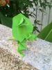 lezard.jpg