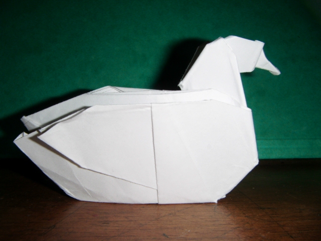 Canard de Pasqual D'Auria 
Plié dans un carré de 20x20cm de papier d'imprimante.
Diagramme pdf sur le site de Pasqual d'auria.

