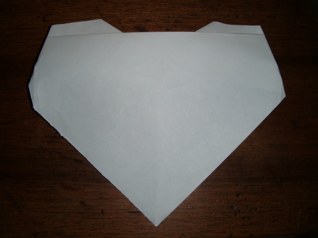 Un Cœur
Un cœur diagramme pocket heart de 8 étapes (trouver sur internet) plié dans un carré de 21x21cm de papier d'imprimante.
