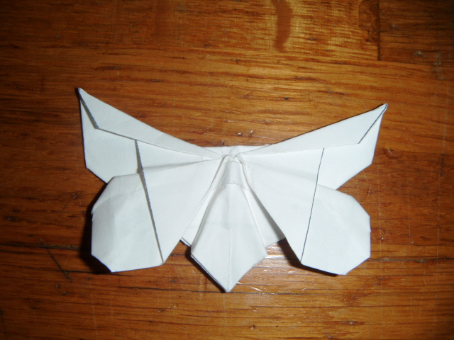 Papillon de Michel G.LaFosse 
Un papillon diagramme de Michel G.LaFosse (un Papillon pour Eric Joisel) de 2010 et sur le site http://www.origamido.com. Plié dans un carré de 10X10cm de papier type imprimante.
