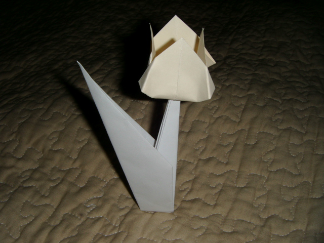 Une Tulipe
Tulipe en deux partie un carré de 8,2x8,2 cm pour la pétale et un carré de 19x19cm pour la tige plié dans un papier d'imprimante pour la tige et une carte de couleur pour la pétale diagramme pliée grâce au livre "l'origami de A à Z" de Ashley Wood.
