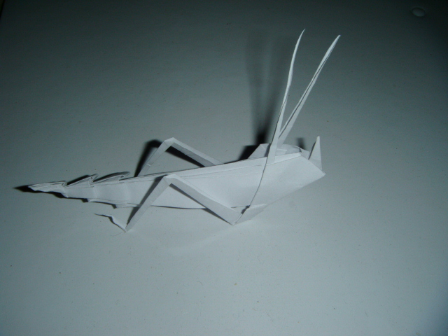 Une Sauterelle
Sauterelle (un petit découpage aux ciseaux est nécessaire à l'étape 4) diagramme de 10 étapes dans le livre "le livre de l'origami pliages à vivre et à jouer" de Didier Boursin au édition Dessain et Tolra plié dans un carré de 10x10 cm de papier d'imprimante.
