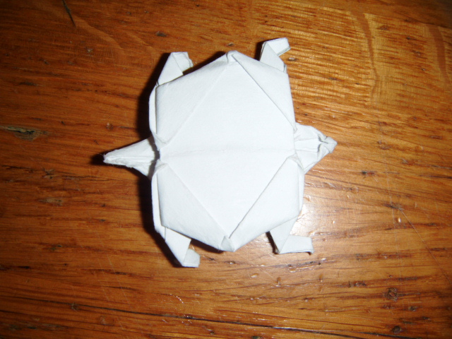 Une Tortue
Tortue de Dimitris Dalas diagramme de la tortue de 28 étapes livre butterfly-swan-turtle (format Pdf) en libre accés sur http://www.origami-shop.com/ dans les livres gratuit.
