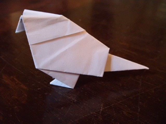 Un oiseau
Un oiseau modèle traditionnel diagramme de 7 étapes de David Petty plié dans un carré de 10x10cm de papier d'imprimante.
