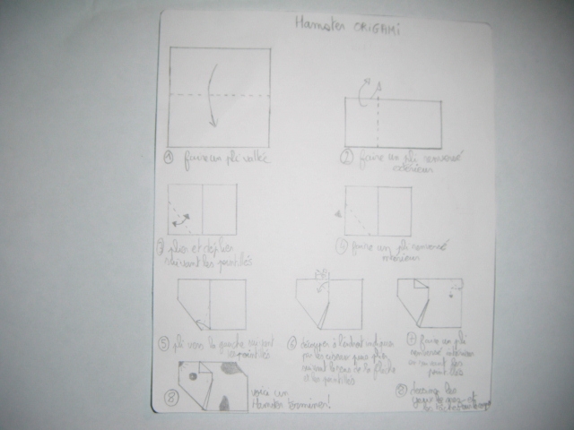 Diagramme du hamster
Diagramme du hamster un peu modifié à l'étape 2, 5, 6 et 7 de celui du site "origami club".
