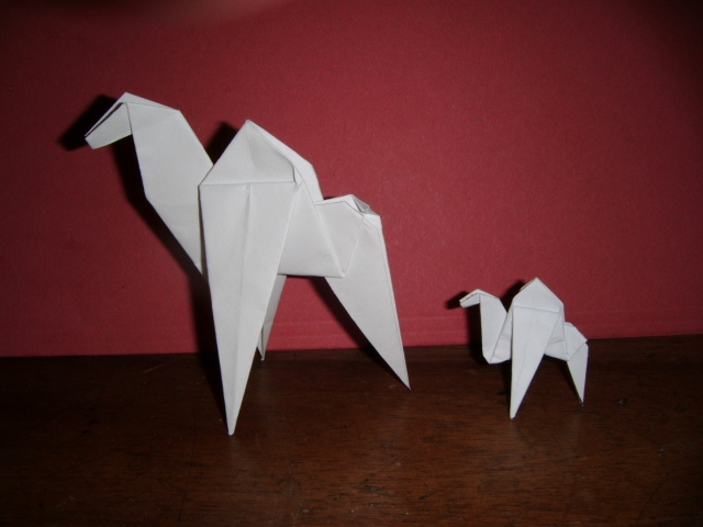 Deux dromadaire
Diagramme sur le site origami club.A droite (sur la photo) plié dans un carré de 9x9cm de papier d'imprimante et à gauche (sur la photo) plié dans un carré de 20x20cm de papier d'imprimante.
