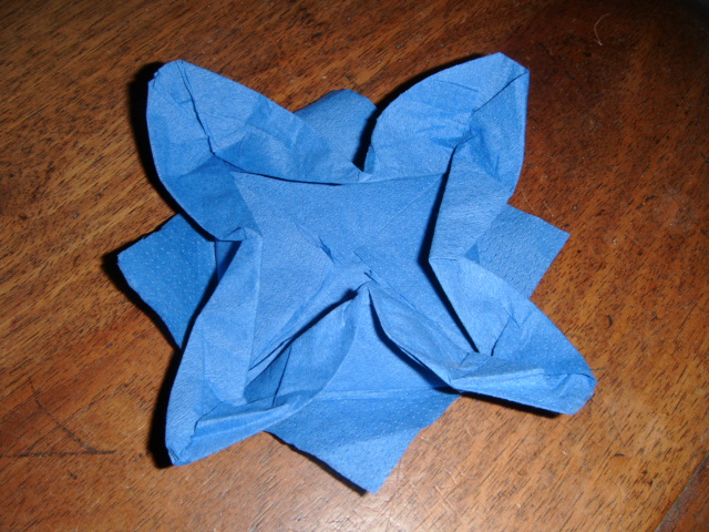 Fleur de lotus
Diagramme de David Petty fait dans une serviette en papier.

