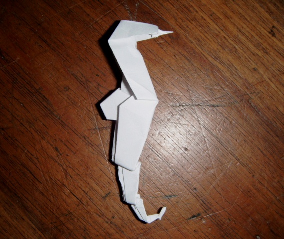 Hippocampe de Anita Barbour
Une Hippocampe diagramme de Anita Barbour.Plié dans un carré de 10x10cm de papier d'imprimante.
