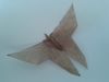Nom du fichier=Papillon_de_Akira_Yoshizawa.jpg
Taille du fichier=60Ko
Dimensions : 640x480
Ajouté le : 19 Août 2013 Papillon_de_Akira_Yoshizawa.jpg