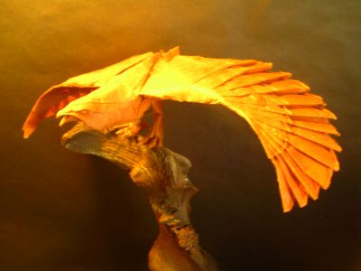 Eagle
De Nguyen HUNG CUONG. Carré soie Unryu 60 cm. Plié en aôut 2011.
