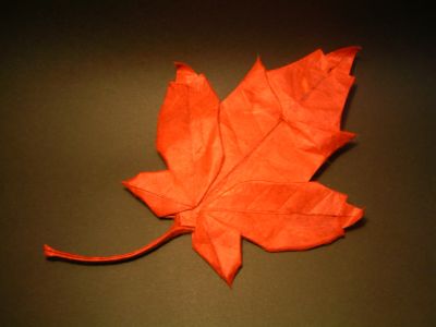 Maple Leaf
De Brian CHAN. Carré 30 cm soie Unryu. Pliée en août 2011.
