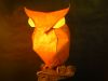 Owl.JPG