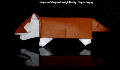 Magic_cat_designed_and_folded_by_Magic_Fingaz.jpg