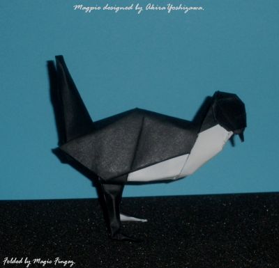 Magpie designed by Akira Yoshizawa
