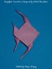 Nom du fichier=Angelfish_28variation29_designed_by_Mohit_Dandekar.jpg
Taille du fichier=298Ko
Dimensions : 1556x2048
Ajouté le : 11 Janvier 2012 Angelfish_28variation29_designed_by_Mohit_Dandekar.jpg