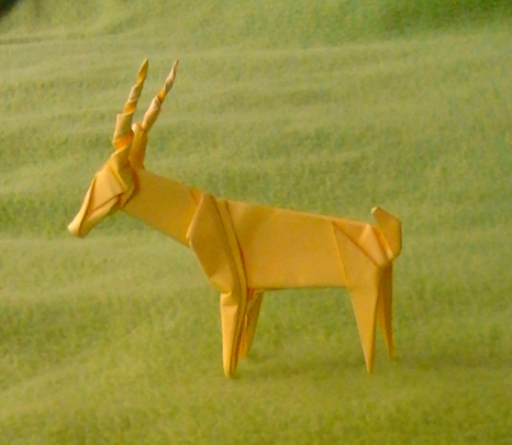 Gazelle2.jpg