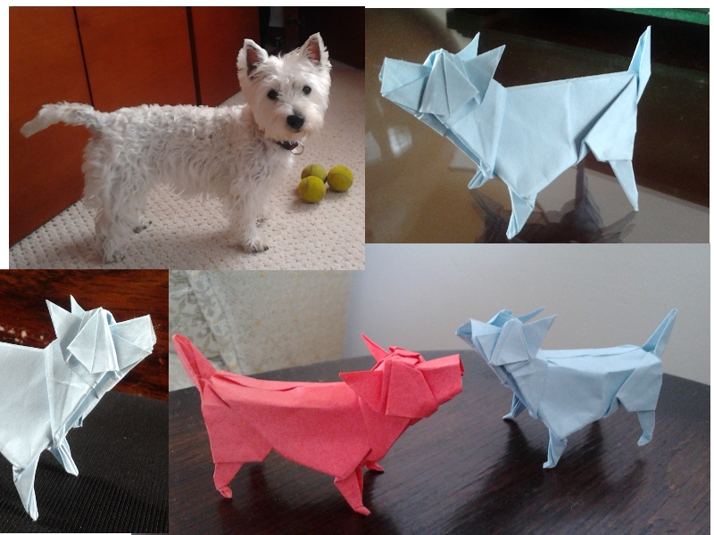 Changua
Mon Westyie s'appelle Changua, j'ai cherché, depuis un petit moment, à lui faire son modèle en Origami. Aujourd'hui c'est fait ! Je me suis basé sur un modèle de lapin de Steven Casey dans Ousa 2008. Papier normal 15x15cm.

