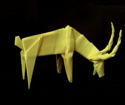Gazelle_3.jpg