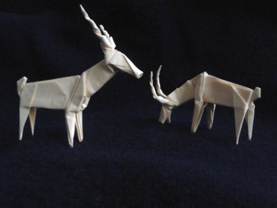 Gazelles2_et__3.jpg