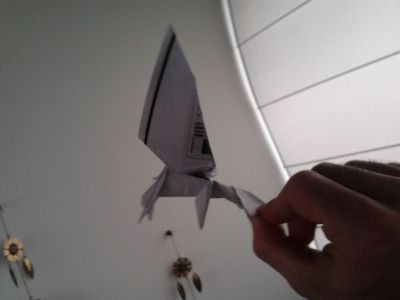 Aigle
Première feuille qui m'est passée sous la main...

