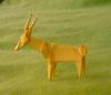 Gazelle2.jpg